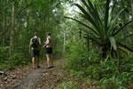 Caminhada para Garapuá