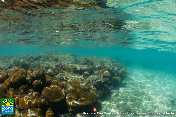 Batismo - Mergulho com cilindro