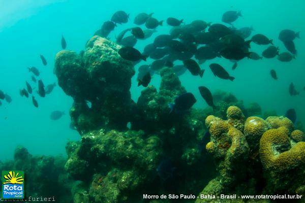 Batismo - Mergulho com cilindro